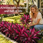 Exotische Kunstpflanze für Garten & Terrasse